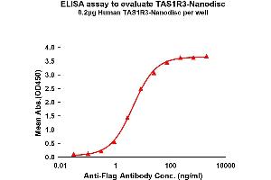 Elisa plates were pre-coated with Flag Tag R3-Nanodisc (0. (TAS1R3 蛋白)