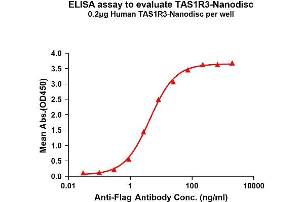 TAS1R3 蛋白