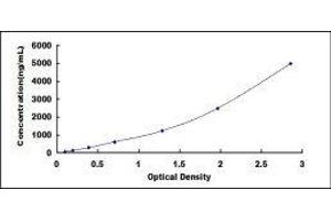 ELISA image for Apolipoprotein B (APOB) ELISA Kit (ABIN6730915)