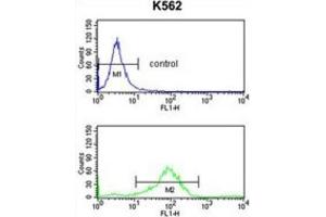 Flow Cytometry (FACS) image for anti-RAB7A, Member RAS Oncogene Family (RAB7A) antibody (ABIN3003858) (RAB7A 抗体)