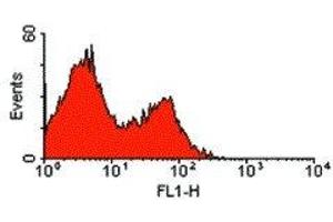 Flow Cytometry (FACS) image for anti-ADP-Ribosyltransferase 2b (Art2b) antibody (ABIN2477498) (ART2.2/Art2b 抗体)