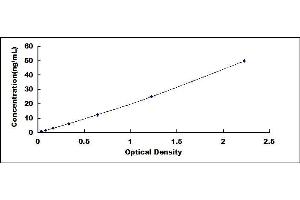 Typical standard curve (Integrin beta 3 ELISA 试剂盒)