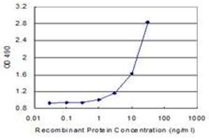 Sandwich ELISA detection sensitivity ranging from 1 ng/mL to 100 ng/mL. (CD86 (人) Matched Antibody Pair)