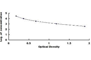 Procollagen Type I Propeptide ELISA 试剂盒