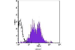 Flow Cytometry (FACS) image for anti-Integrin beta 1 (ITGB1) antibody (PE) (ABIN2144837) (ITGB1 抗体  (PE))