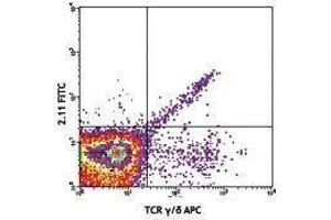 Flow Cytometry (FACS) image for anti-TCR V Gamma1.1/Cr4 antibody (FITC) (ABIN2662030) (TCR V Gamma1.1/Cr4 抗体 (FITC))