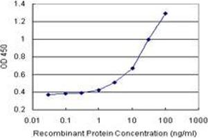 Sandwich ELISA detection sensitivity ranging from 1 ng/mL to 100 ng/mL. (POLR3K (人) Matched Antibody Pair)