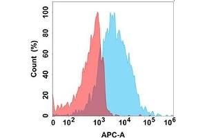 Flow cytometry analysis with Anti-F on Expi293 cells transfected with human F (Blue histogram) or Expi293 transfected with irrelevant protein (Red histogram). (FCRL5 抗体)
