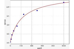 PHF6 ELISA 试剂盒