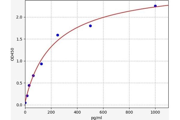 PHF6 ELISA 试剂盒