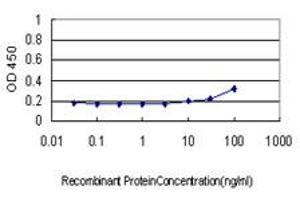 Detection limit for recombinant GST tagged BAD is approximately 30ng/ml as a capture antibody. (BAD 抗体  (AA 69-168))