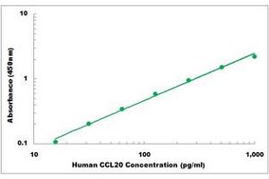 Representative Standard Curve (CCL20 ELISA 试剂盒)