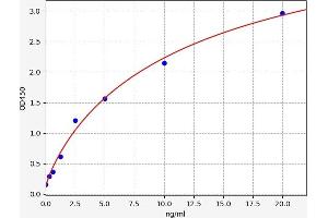 Typical standard curve (GALK1 ELISA 试剂盒)