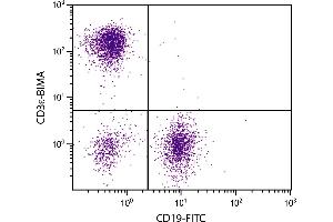 BALB/c mouse splenocytes were stained with Hamster Anti-Mouse CD3ε-BIMA. (CD3 epsilon 抗体  (APC))