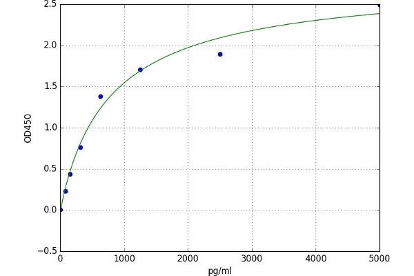 AKR7A2 ELISA 试剂盒