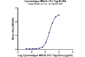 ELISA image for Mesothelin (MSLN) protein (Fc Tag) (ABIN7275282)