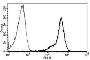 Flow Cytometry (FACS) image for anti-CD44 (CD44) antibody (FITC) (ABIN1106384) (CD44 抗体  (FITC))