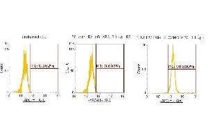Flow Cytometry (FACS) image for anti-Granzyme B (GZMB) (AA 21-247) antibody (APC) (ABIN5564760) (GZMB 抗体  (AA 21-247) (APC))