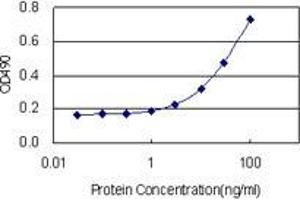 Sandwich ELISA detection sensitivity ranging from 3 ng/mL to 100 ng/mL. (EIF5A2 (人) Matched Antibody Pair)