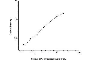 Typical standard curve (Surfactant Protein C ELISA 试剂盒)