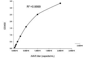 Typical standard curve (AAV5 ELISA 试剂盒)