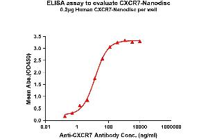 Elisa plates were pre-coated with Flag Tag C-Nanodisc (0. (CXCR7 蛋白)