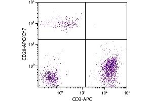 Human peripheral blood lymphocytes were stained with Mouse Anti-Human CD20-APC/CY7. (CD20 抗体  (APC-Cy7))