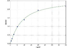 A typical standard curve (P4HA1 ELISA 试剂盒)