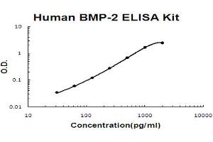 ELISA image for Bone Morphogenetic Protein 2 (BMP2) ELISA Kit (ABIN6719672)