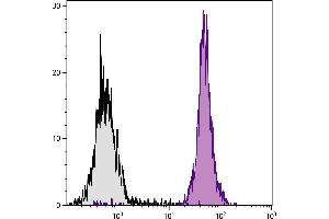 BALB/c mouse splenocytes were stained with Rat Anti-Mouse CD45-BIOT. (CD45 抗体  (Biotin))