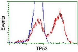 Flow Cytometry (FACS) image for anti-Tumor Protein P53 (TP53) antibody (ABIN1499977) (p53 抗体)