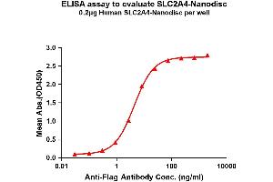 Elisa plates were pre-coated with Flag Tag A4-Nanodisc (0. (GLUT4 蛋白)