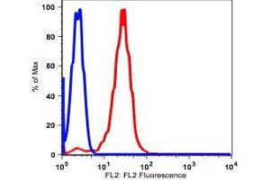 Flow Cytometry (FACS) image for anti-CD38 antibody (PE) (ABIN2704263) (CD38 抗体  (PE))