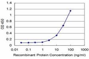 Detection limit for recombinant GST tagged MEOX2 is approximately 3ng/ml as a capture antibody. (MEOX2 抗体  (AA 1-303))