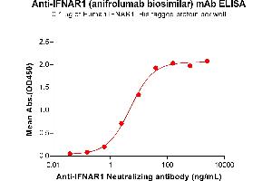 ELISA plate pre-coated by 1 μg/mL (100 μL/well) Human IF Protein, His Tag ABIN6964273, ABIN7042727 and ABIN7042728 can bind Anti-IF Neutralizing antibody (ABIN7478013 and ABIN7490965) in a linear range of 0. (Recombinant IFNAR1 (Anifrolumab Biosimilar) 抗体)