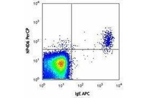 Flow Cytometry (FACS) image for anti-Ectonucleotide pyrophosphatase/phosphodiesterase 3 (ENPP3) antibody (PerCP) (ABIN2659804) (ENPP3 抗体  (PerCP))