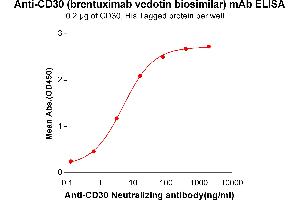 ELISA plate pre-coated by 2 μg/mL (100 μL/well) Human CD30, His tagged protein ABIN6961166, ABIN7042361 and ABIN7042362 can bind Anti-CD30 Neutralizing antibody in a linear range of 0. (Recombinant TNFRSF8 (Brentuximab Biosimilar) 抗体)