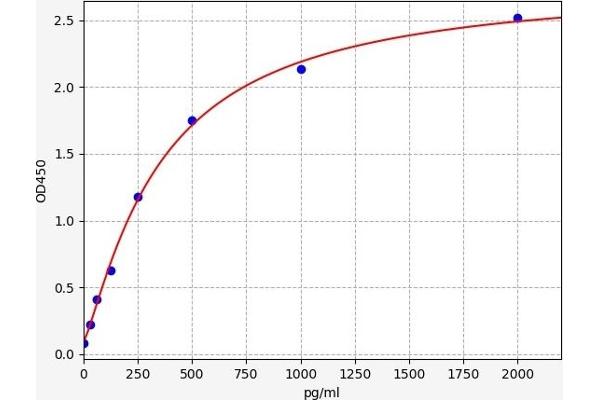 Hexokinase ELISA 试剂盒