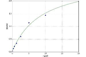 A typical standard curve (COA6 ELISA 试剂盒)