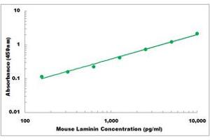 Representative Standard Curve (Laminin ELISA 试剂盒)