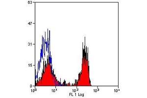 Flow Cytometry (FACS) image for anti-Signal-Regulatory Protein alpha (SIRPA) antibody (ABIN2478796) (SIRPA 抗体)