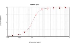 ELISA results of Goat Anti-Rabbit IgG Antibody Peroxidase Conjugated tested against purified Rabbit IgG protein. (山羊 anti-兔 IgG (Heavy & Light Chain) Antibody (HRP))