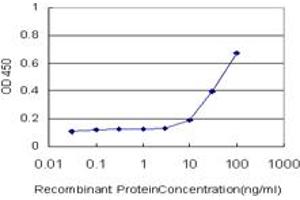 Detection limit for recombinant GST tagged BARHL1 is approximately 1ng/ml as a capture antibody. (BARHL1 抗体  (AA 55-154))