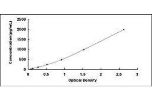 ELISA image for Bone Morphogenetic Protein 4 (BMP4) ELISA Kit (ABIN414358) (BMP4 ELISA 试剂盒)