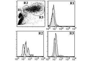 Flow Cytometry (FACS) image for anti-Transferrin Receptor (p90, CD71) (TFRC) antibody (FITC) (ABIN1449272) (Transferrin Receptor 抗体  (FITC))