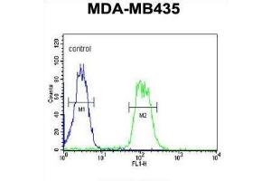 Flow Cytometry (FACS) image for anti-ATH1, Acid Trehalase-Like 1 (ATHL1) antibody (ABIN3002191) (ATHL1 抗体)