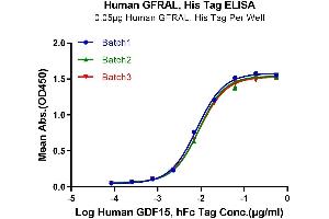 ELISA image for GDNF Family Receptor alpha Like (GFRAL) (AA 19-351) protein (His-Avi Tag) (ABIN7274737)