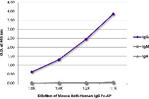 ELISA plate was coated with purified human IgG, IgM, and IgA. (小鼠 anti-人 IgG (Fc Region) Antibody (Alkaline Phosphatase (AP)))