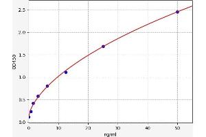 Typical standard curve (LAMA3 ELISA 试剂盒)