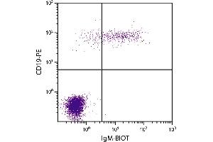 Human peripheral blood lymphocytes were stained with Mouse Anti-Human IgM-BIOT. (小鼠 anti-人 IgM Antibody (Biotin))